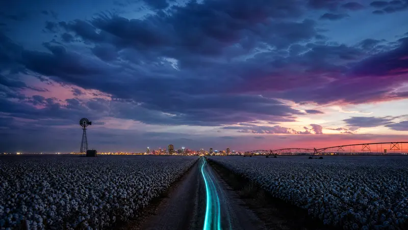 Illustration of cotton fields, a windmill and a small city on the horizon under a vast sky, representing Lubbock and the South Plains
